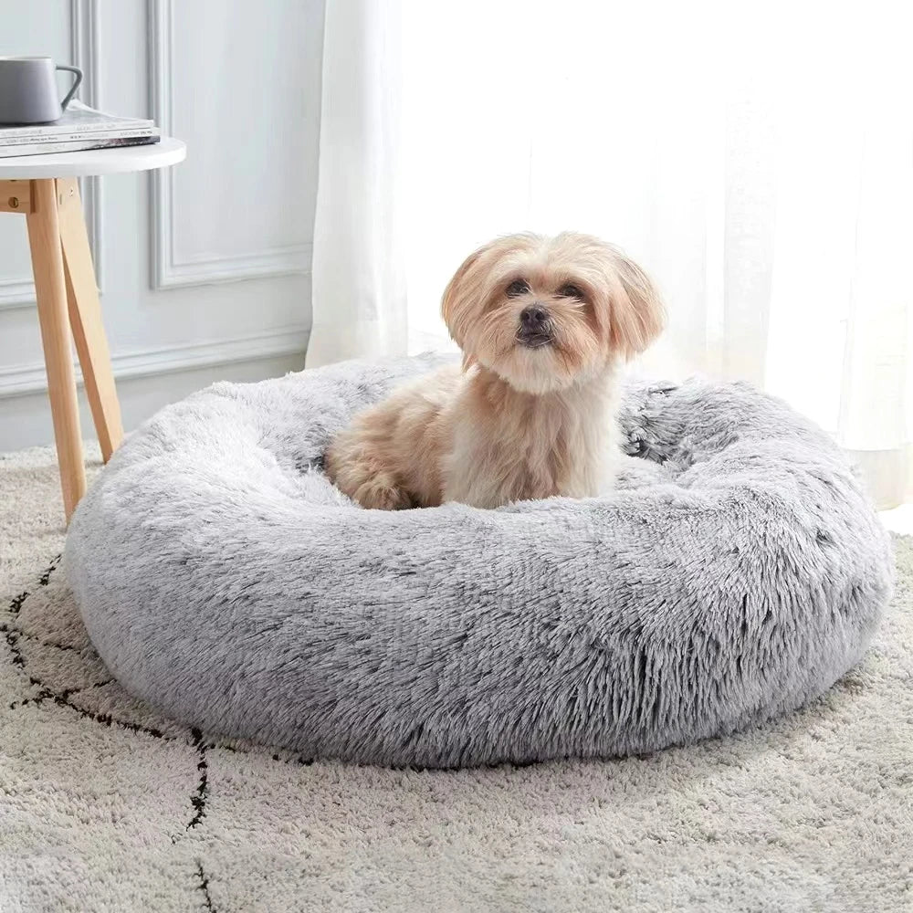 Cama para Pets